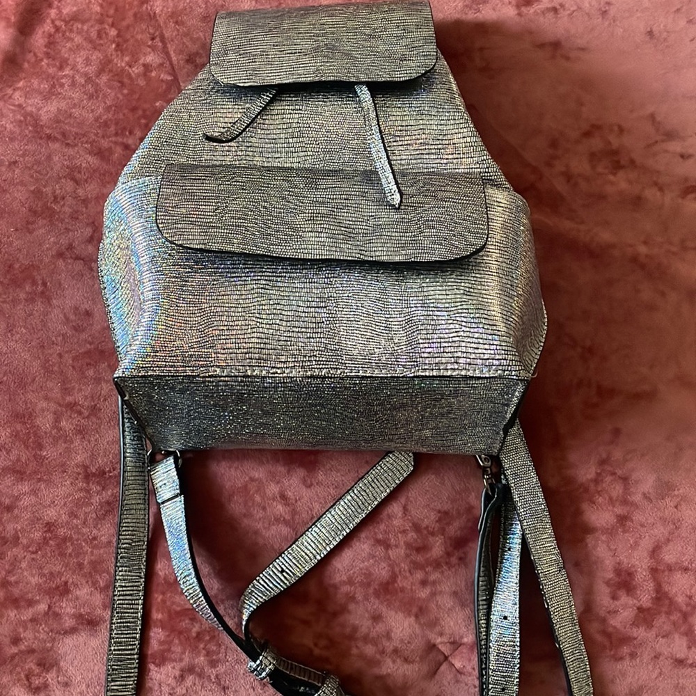 Silver Metallic Small Back Pack - image 1